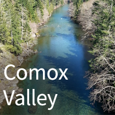 comox-square
